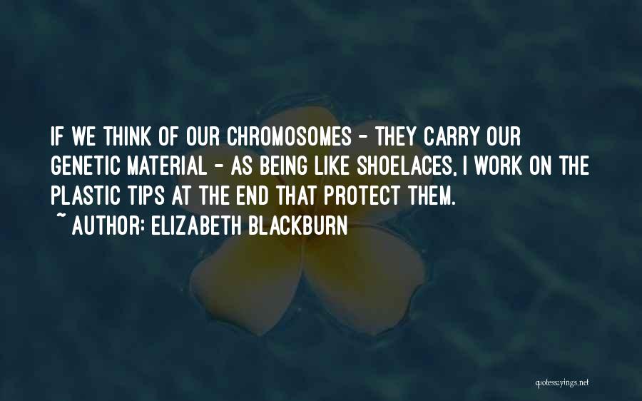 Elizabeth H Blackburn Quotes By Elizabeth Blackburn