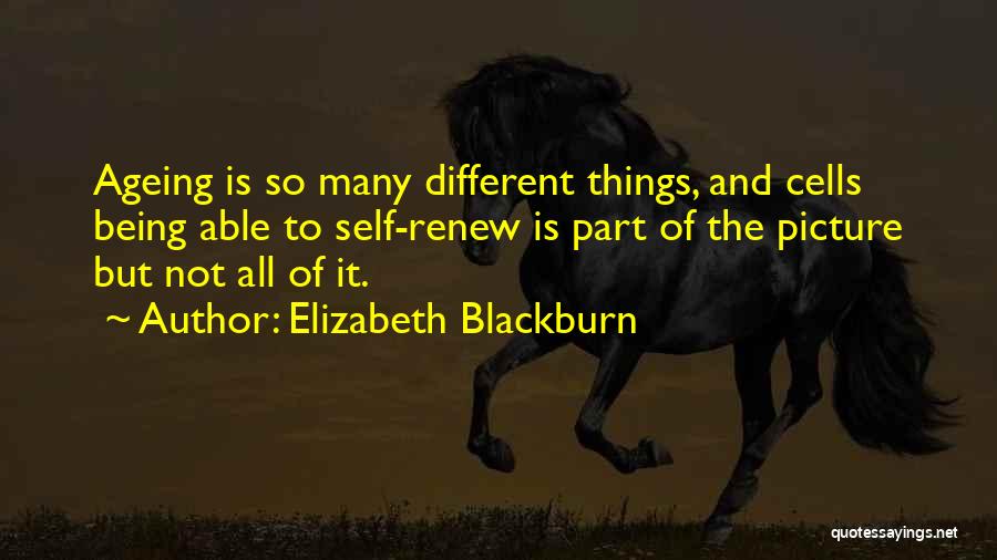 Elizabeth H Blackburn Quotes By Elizabeth Blackburn