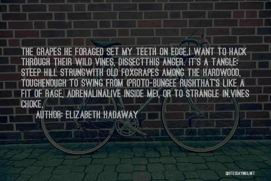 Elizabeth Hadaway Quotes 2155550