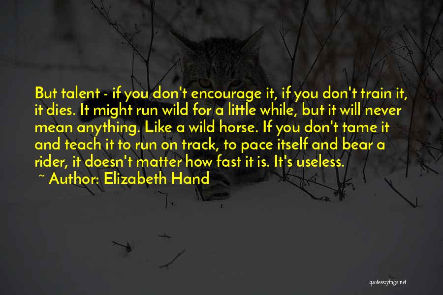 Elizabeth Hand Quotes 1811886
