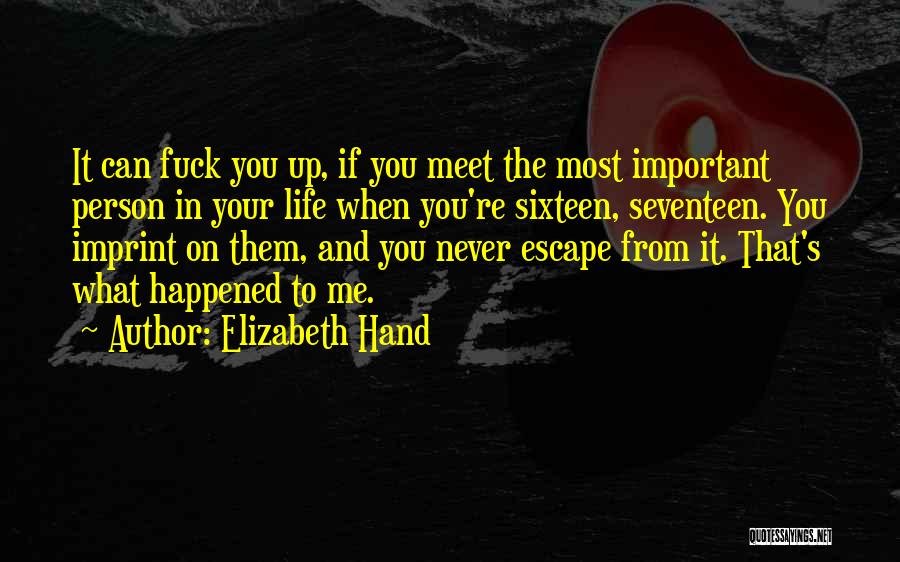 Elizabeth Hand Quotes 2108992