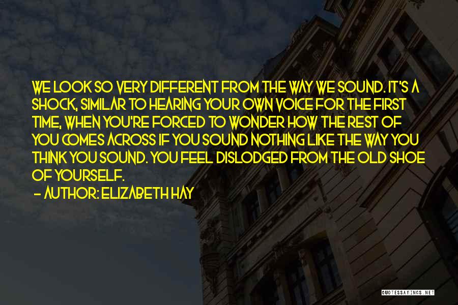 Elizabeth Hay Quotes 1090247