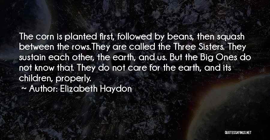 Elizabeth Haydon Quotes 227647
