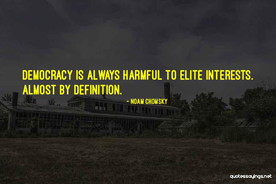 Elizabeth Helen Mirren Quotes By Noam Chomsky