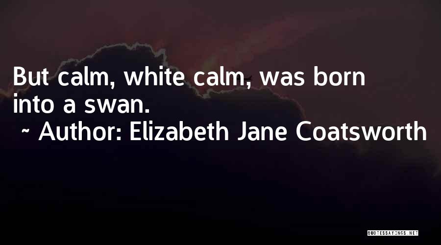 Elizabeth Jane Coatsworth Quotes 1218711