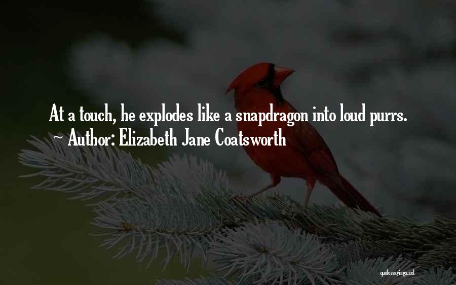 Elizabeth Jane Coatsworth Quotes 2047029