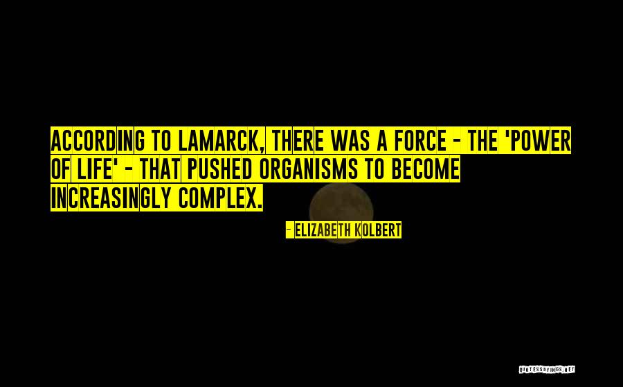 Elizabeth Kolbert Quotes 1129405