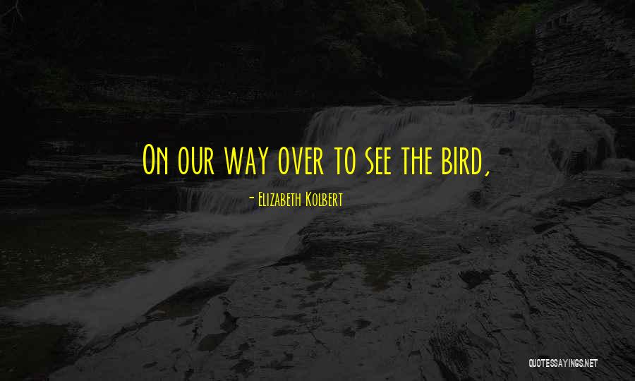 Elizabeth Kolbert Quotes 1914763 Elizabeth Kolbert Quotes 1914763
