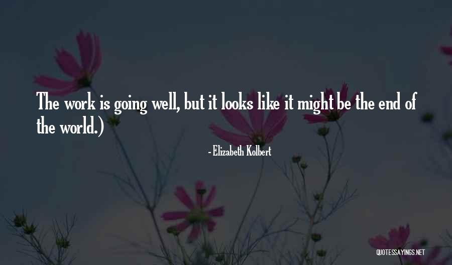 Elizabeth Kolbert Quotes 504212