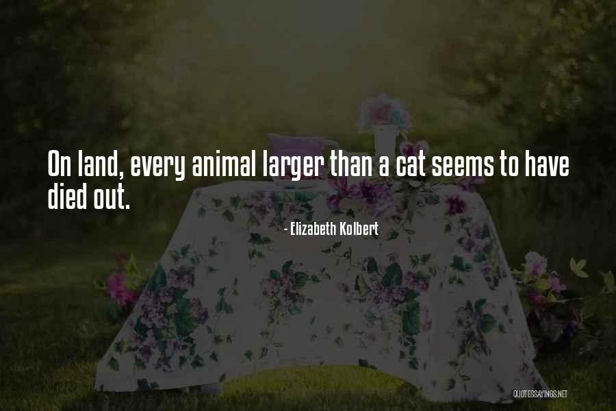 Elizabeth Kolbert Quotes 527312