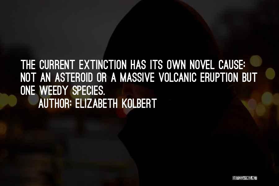 Elizabeth Kolbert Quotes 546372