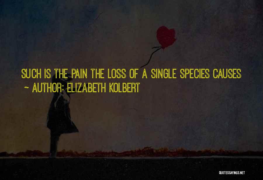 Elizabeth Kolbert Quotes 648233