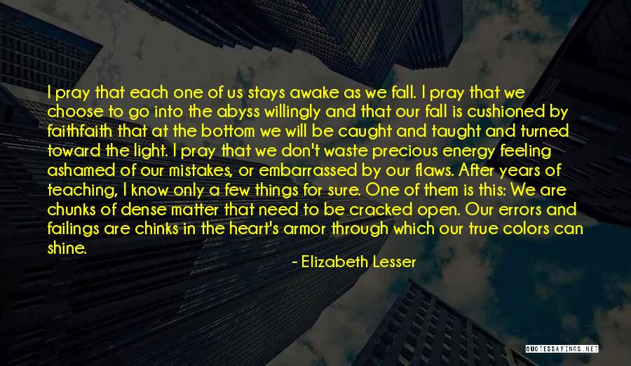 Elizabeth Lesser Quotes 1087646