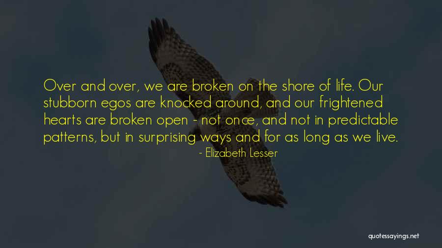 Elizabeth Lesser Quotes 1451394