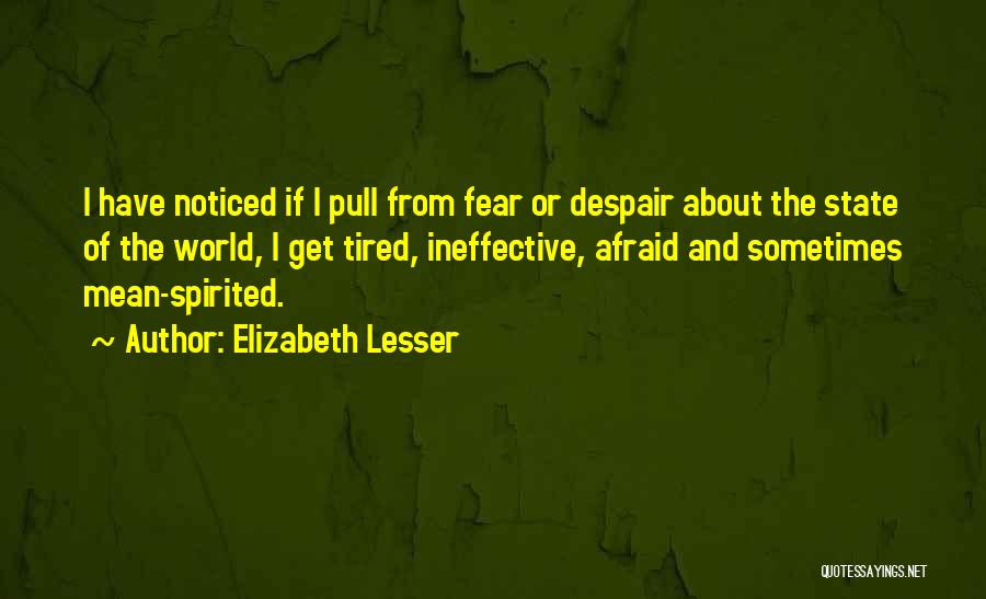 Elizabeth Lesser Quotes 1687590
