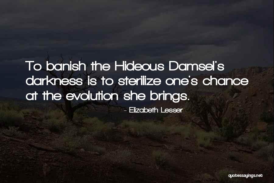 Elizabeth Lesser Quotes 783453