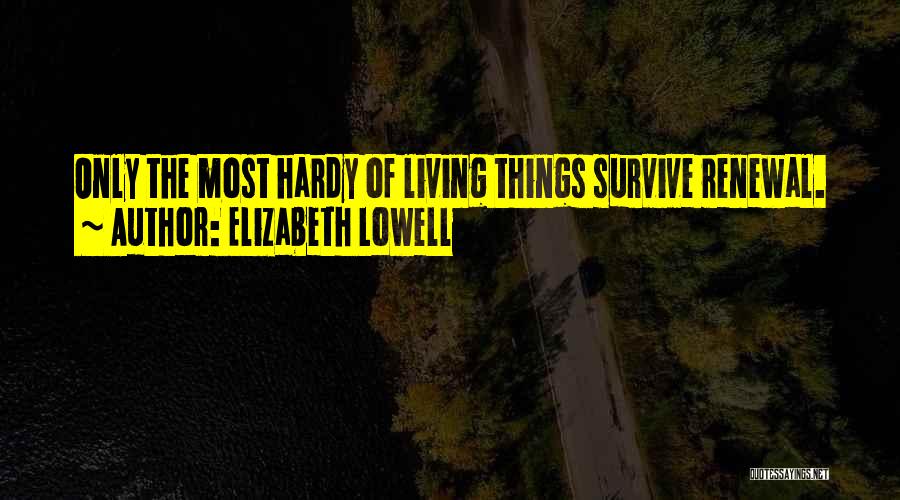 Elizabeth Lowell Quotes 1732222