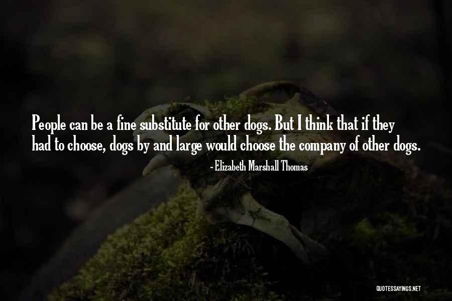 Elizabeth Marshall Thomas Quotes 1558438 Elizabeth Marshall Thomas Quotes 1558438