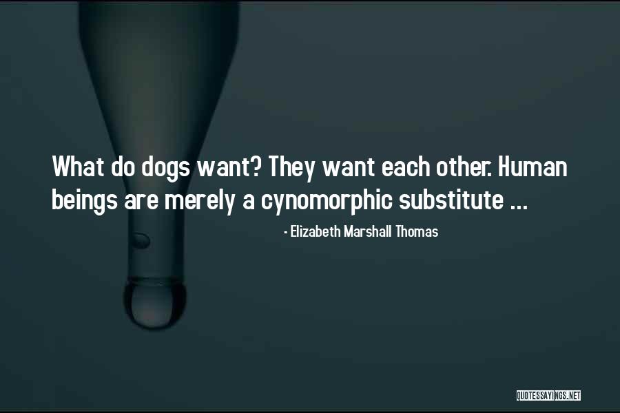 Elizabeth Marshall Thomas Quotes 1682324 Elizabeth Marshall Thomas Quotes 1682324
