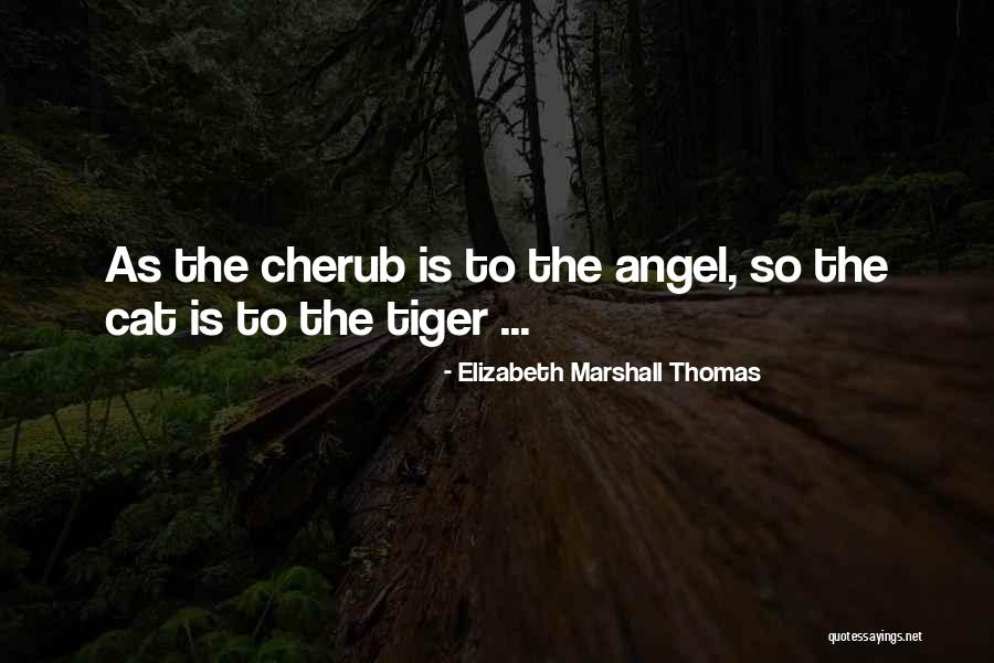 Elizabeth Marshall Thomas Quotes 1799880 Elizabeth Marshall Thomas Quotes 1799880