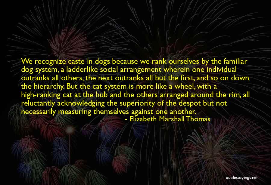 Elizabeth Marshall Thomas Quotes 629581 Elizabeth Marshall Thomas Quotes 629581