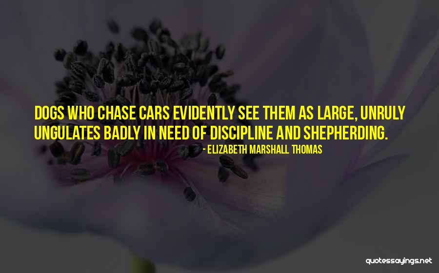 Elizabeth Marshall Thomas Quotes 741075 Elizabeth Marshall Thomas Quotes 741075
