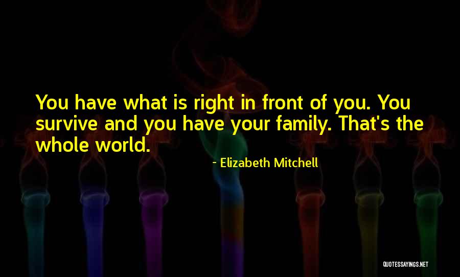 Elizabeth Mitchell Quotes 1054517