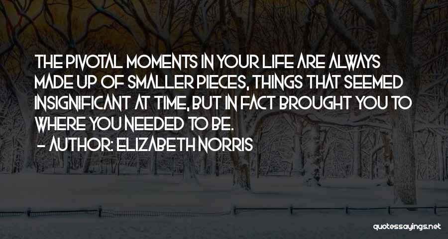 Elizabeth Norris Quotes 2167182