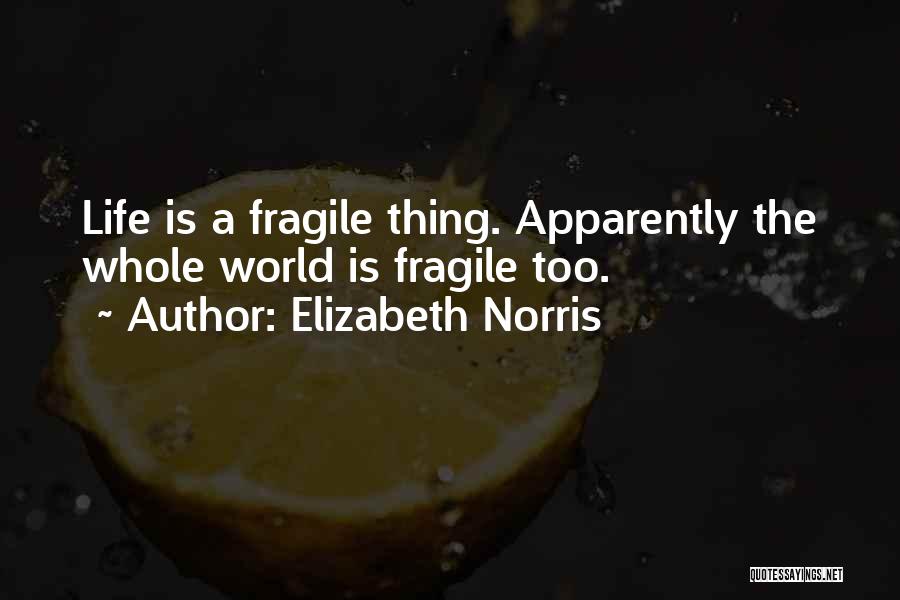 Elizabeth Norris Quotes 924142