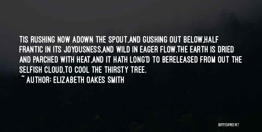 Elizabeth Oakes Smith Quotes 266090