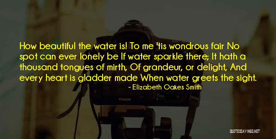 Elizabeth Oakes Smith Quotes 290249