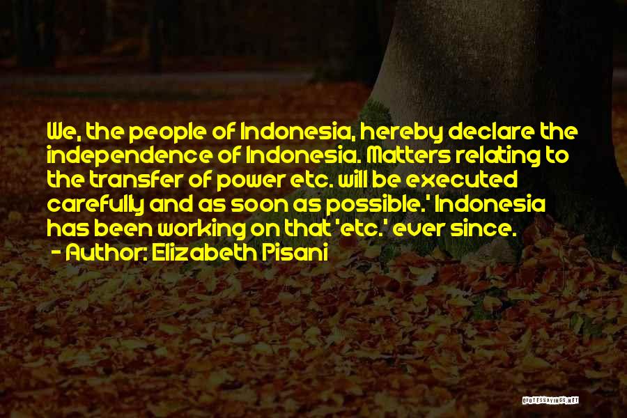 Elizabeth Pisani Quotes 1931798