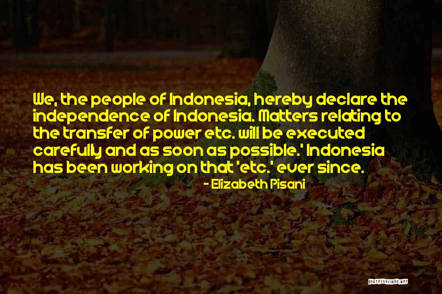Elizabeth Pisani Quotes 1931798 Elizabeth Pisani Quotes 1931798