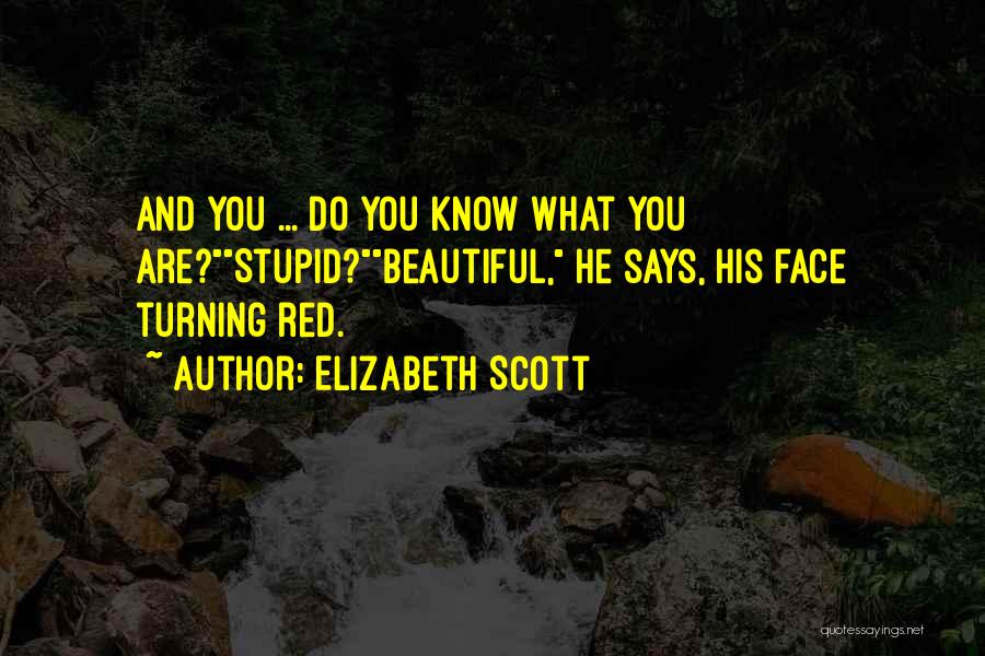 Elizabeth Scott Quotes 953938