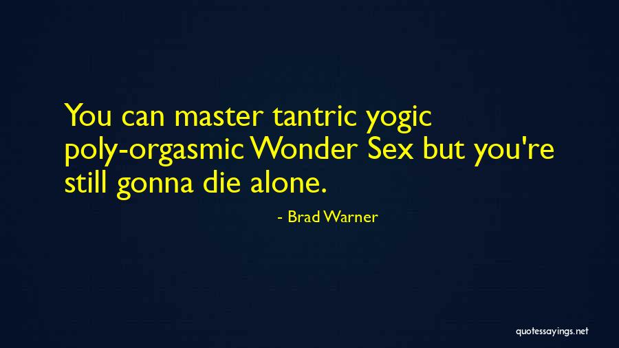Elizabeth Skrivener Quotes By Brad Warner Elizabeth Skrivener Quotes By Brad Warner