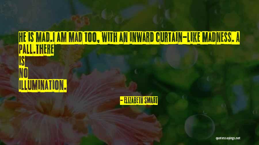 Elizabeth Smart Quotes 243662 Elizabeth Smart Quotes 243662