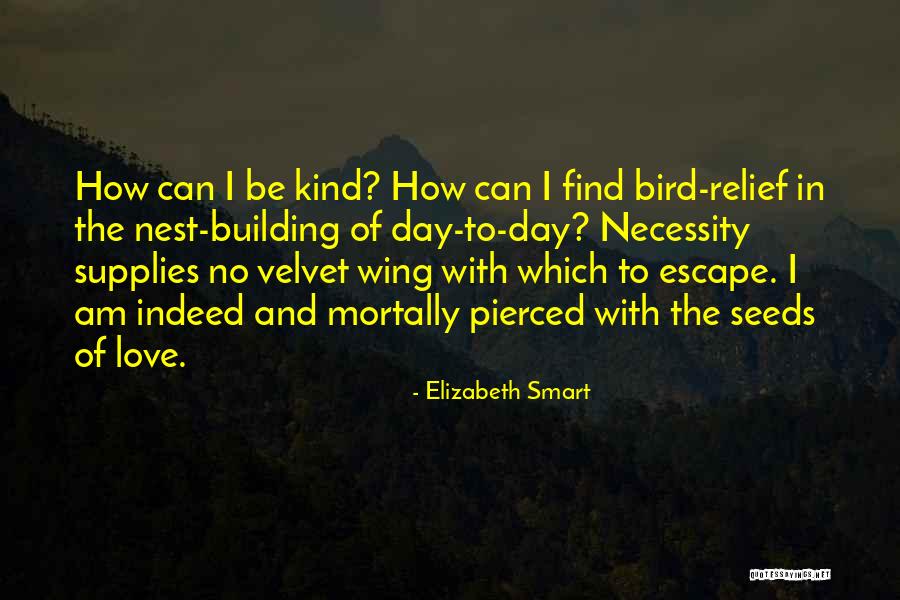 Elizabeth Smart Quotes 712352 Elizabeth Smart Quotes 712352