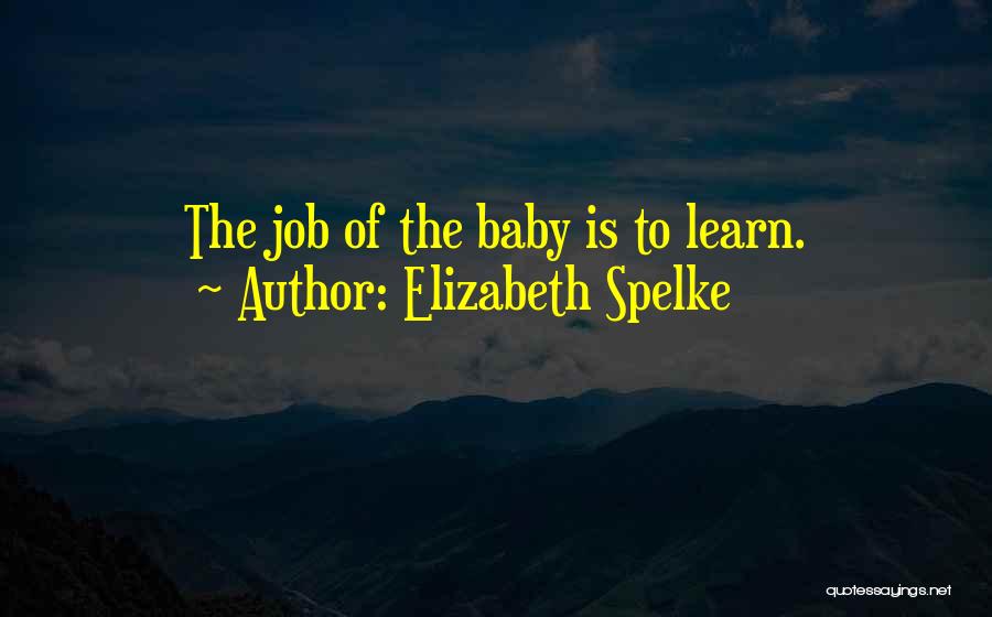 Elizabeth Spelke Quotes 277172