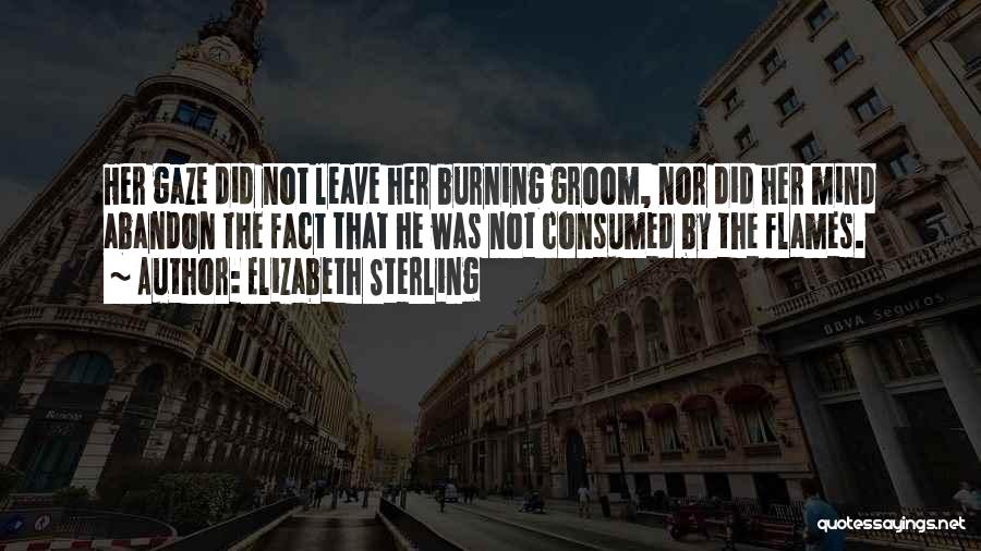 Elizabeth Sterling Quotes 211285