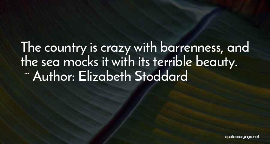 Elizabeth Stoddard Quotes 943902