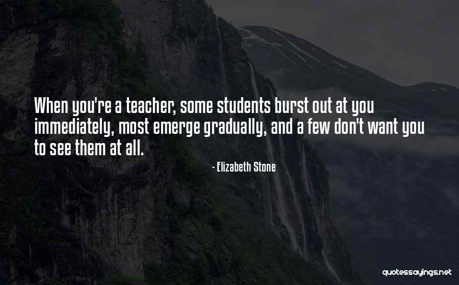 Elizabeth Stone Quotes 1885905 Elizabeth Stone Quotes 1885905