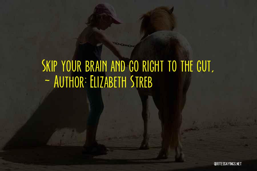 Elizabeth Streb Quotes 1183064