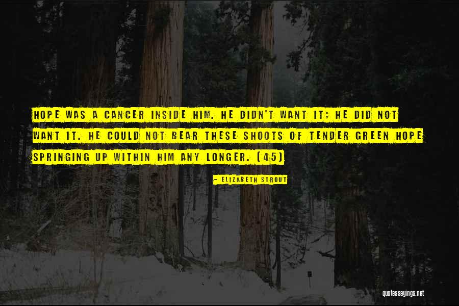 Elizabeth Strout Quotes 162995 Elizabeth Strout Quotes 162995
