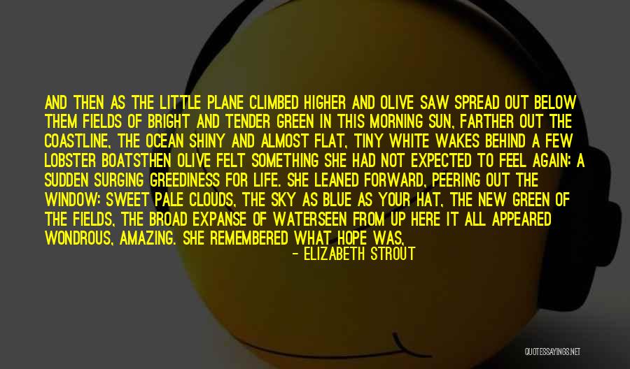 Elizabeth Strout Quotes 443029 Elizabeth Strout Quotes 443029