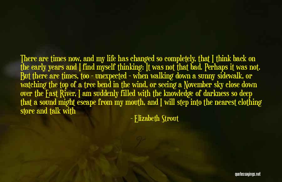 Elizabeth Strout Quotes 777213 Elizabeth Strout Quotes 777213
