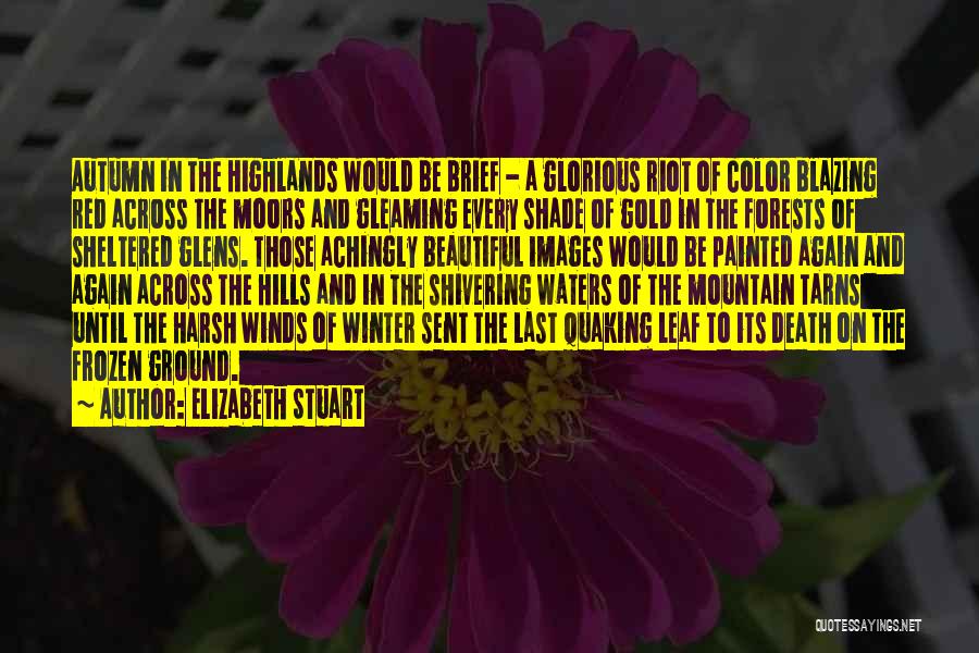 Elizabeth Stuart Quotes 861466