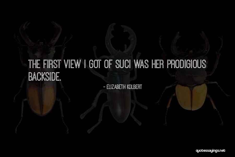 Elizabeth The First Quotes By Elizabeth Kolbert