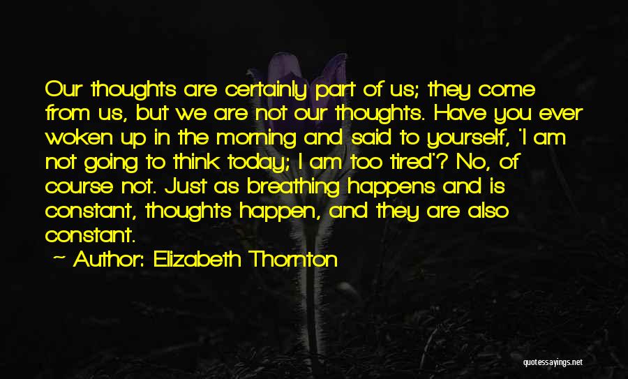 Elizabeth Thornton Quotes 1381371