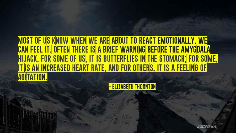 Elizabeth Thornton Quotes 1968299