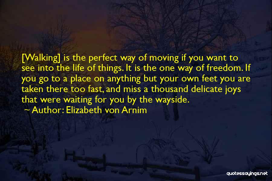 Elizabeth Von Arnim Quotes 1509840